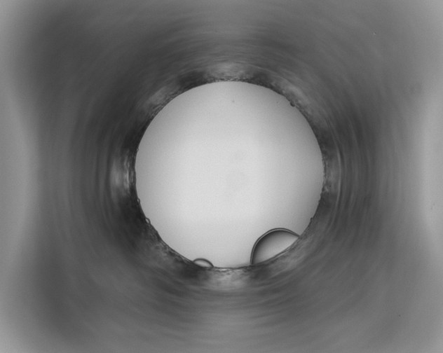 X0000112200334200908281444