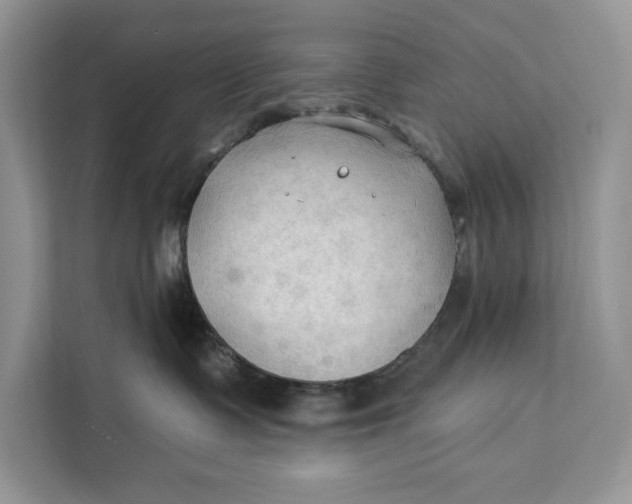 X0000112200335200908281444