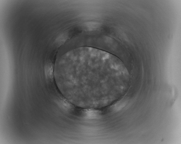 X0000112200336200908281444