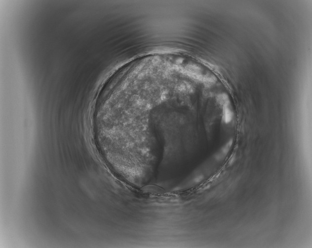 X0000112200337200908281444