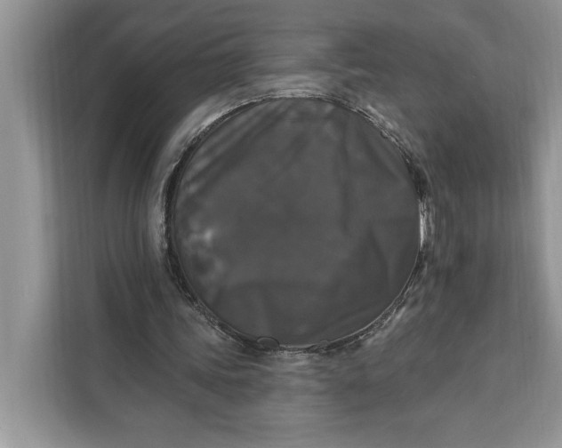 X0000112200339200908281444