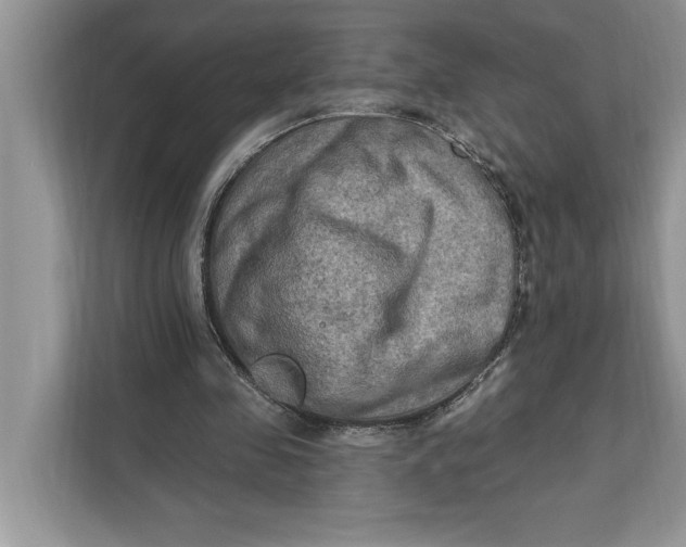 X0000112200341200908281444