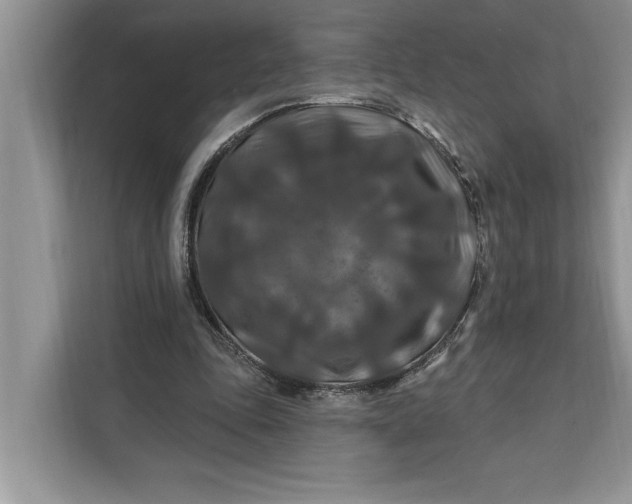 X0000112200343200908281444