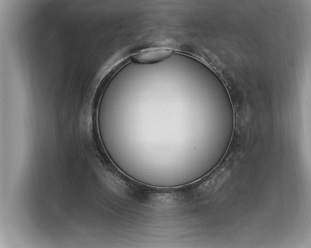 X0000112200344200908281444