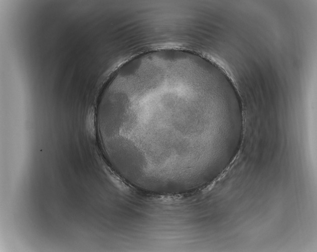 X0000112200345200908281444