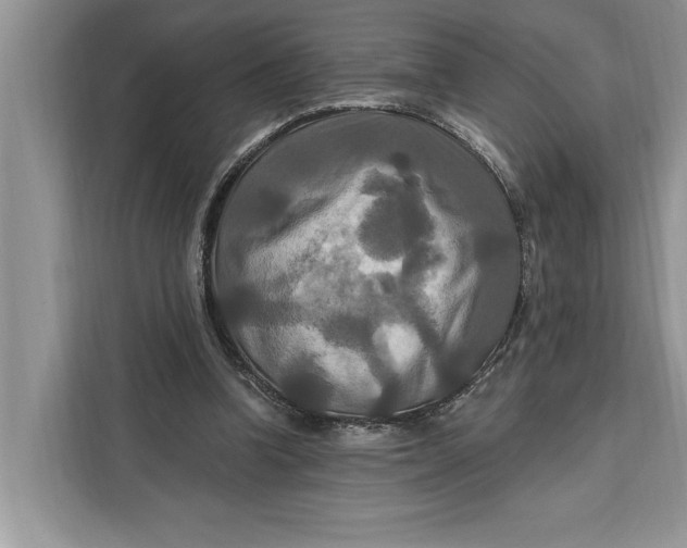 X0000112200346200908281444