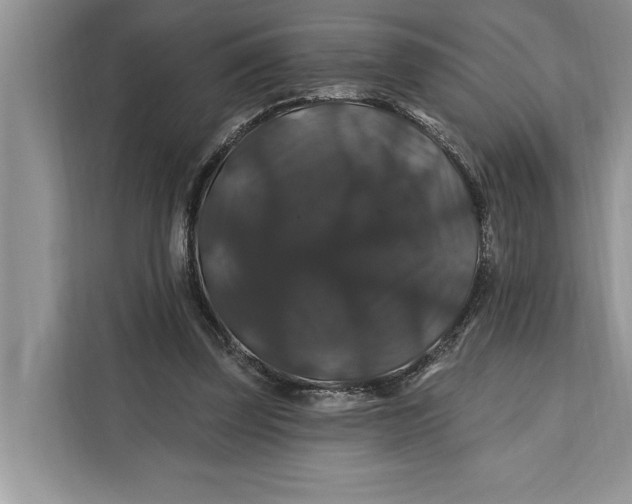 X0000112200347200908281444