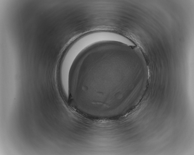 X0000112200348200908281444