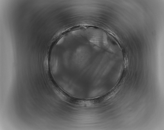 X0000112200349200908281444