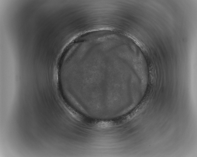 X0000112200350200908281444