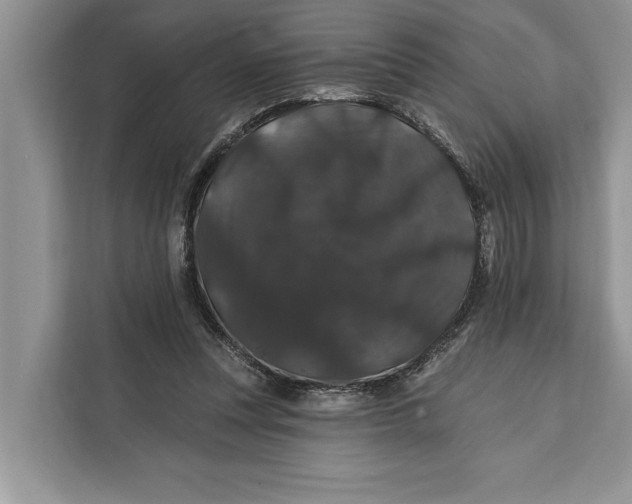 X0000112200351200908281444