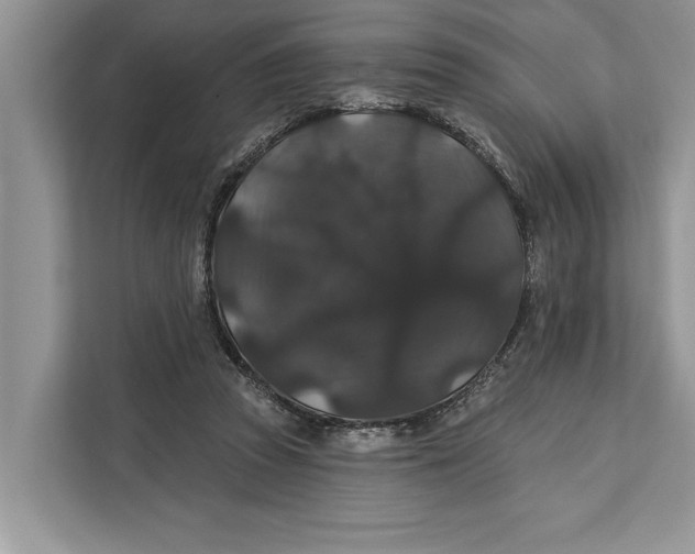 X0000112200353200908281444