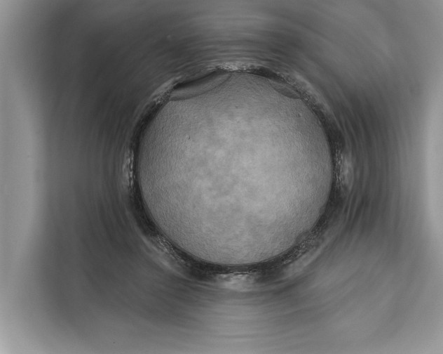 X0000112200356200908281444