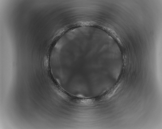 X0000112200357200908281444