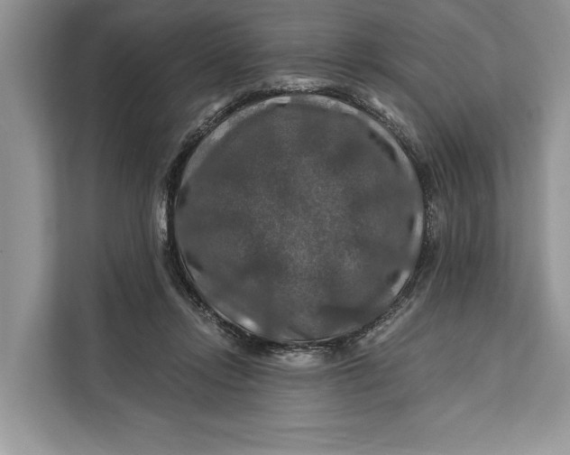 X0000112200358200908281444