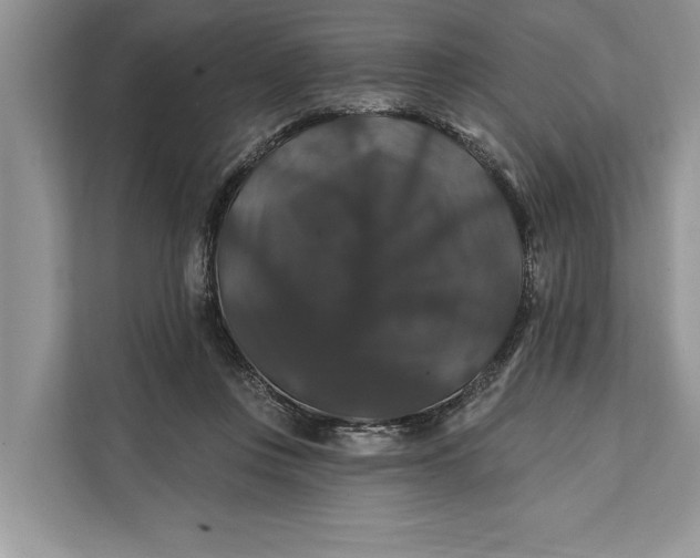 X0000112200359200908281444