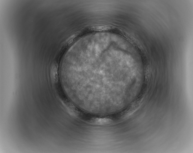 X0000112200360200908281444