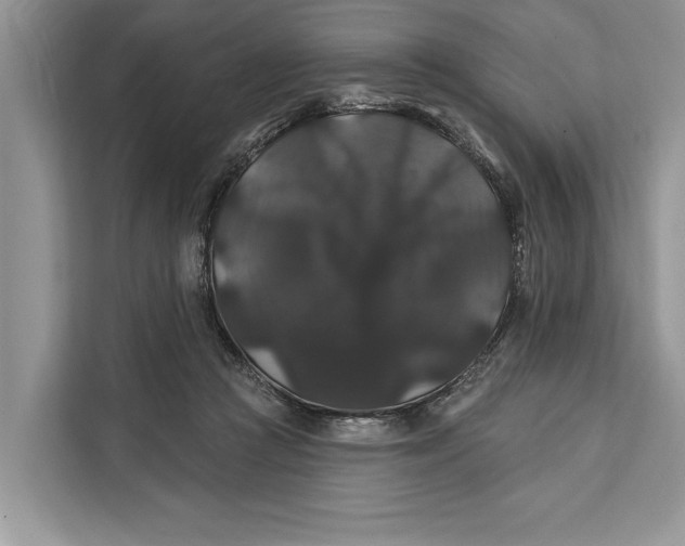 X0000112200361200908281444