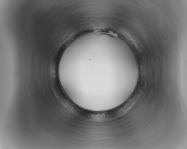 X0000112200362200908281444