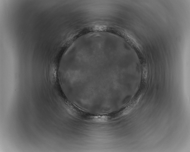 X0000112200363200908281444