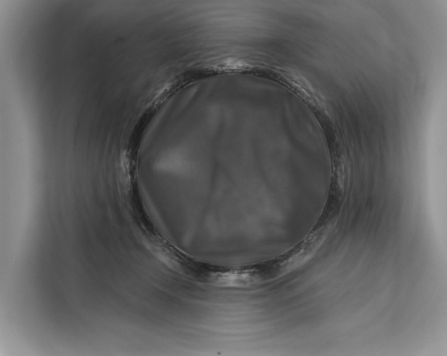 X0000112200366200908281444