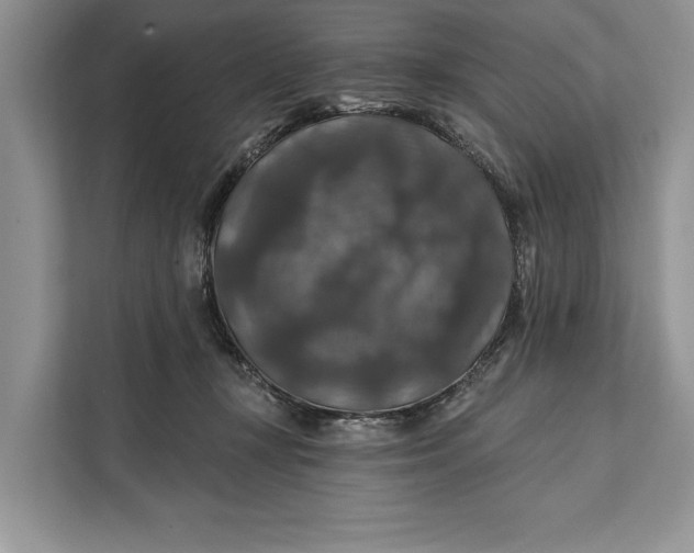 X0000112200367200908281444