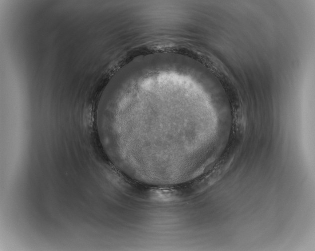 X0000112200372200908281444