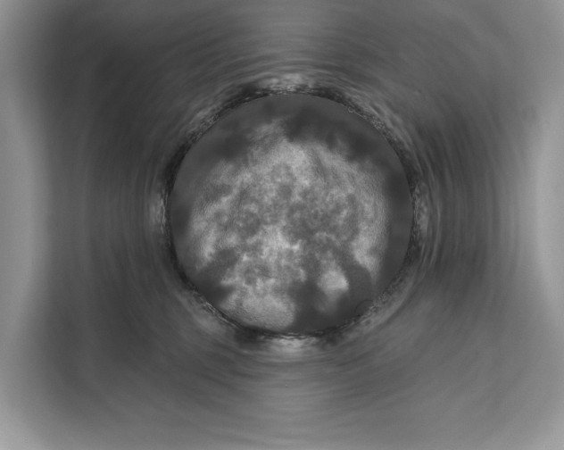 X0000112200375200908281444