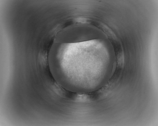 X0000112200376200908281444