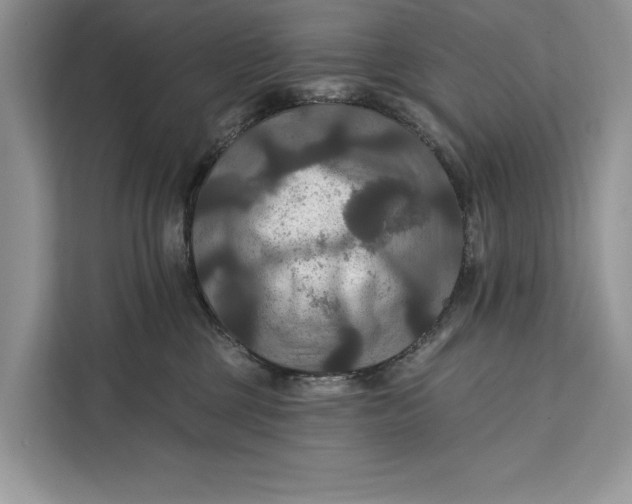 X0000112200377200908281444