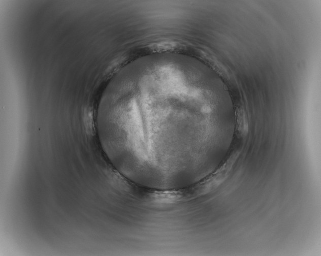 X0000112200378200908281444