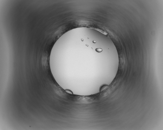 X0000112200379200908281444