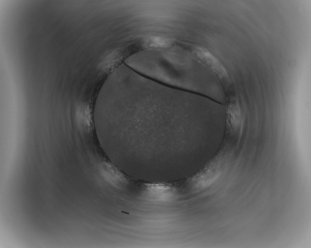 X0000112200380200908281444