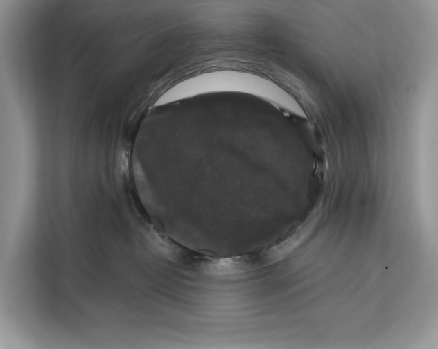 X0000112200382200908281444