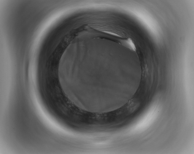 X0000112200383200908281444