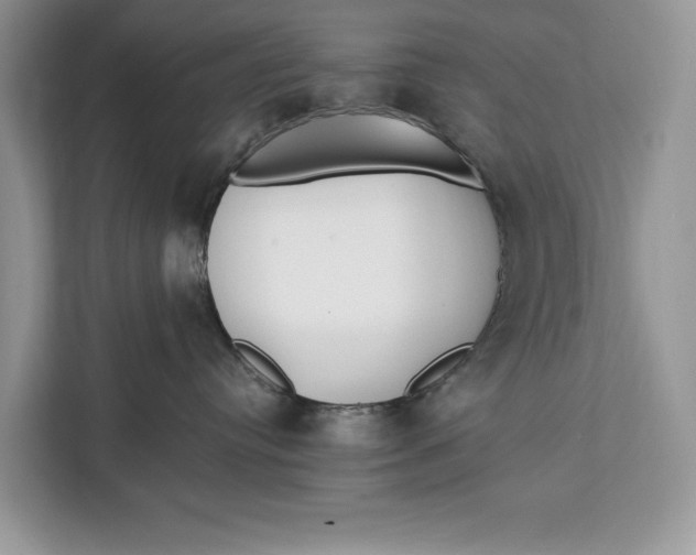 X0000112200384200908281444