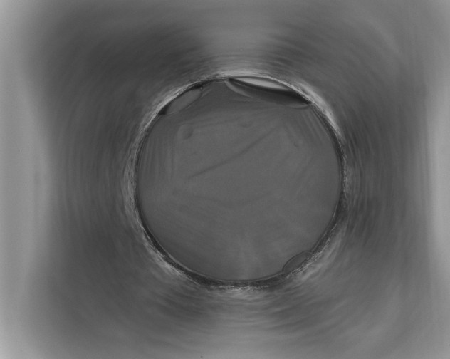 X0000112200385200908281444