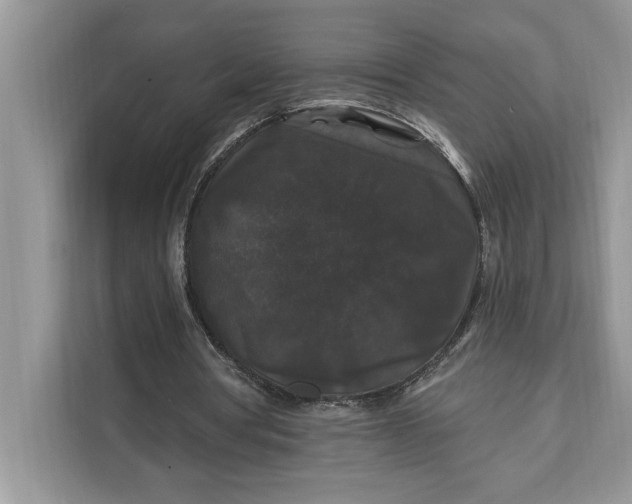 X0000112200386200908281444