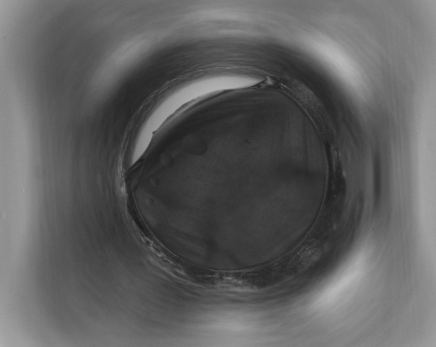 X0000112200387200908281443