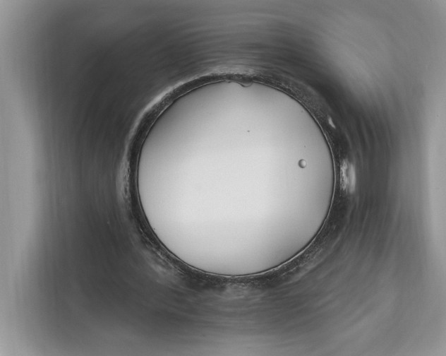 X0000112200388200908281443