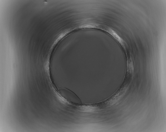 X0000112200389200908281443