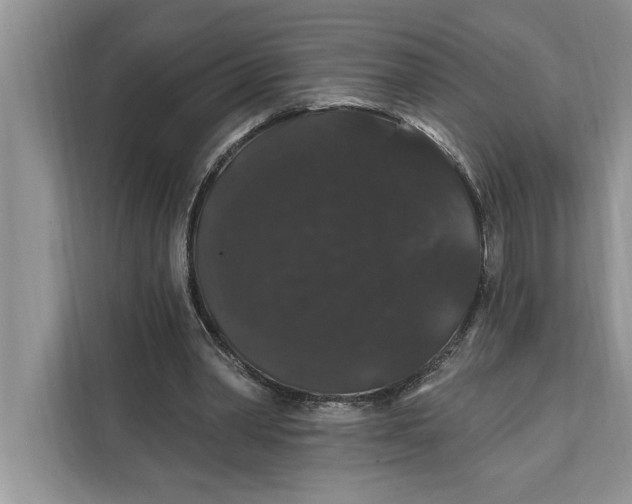 X0000112200390200908281443