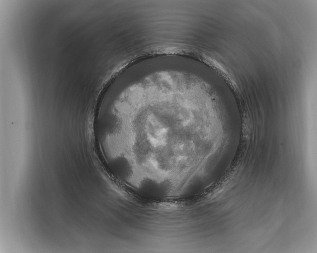 X0000112200394200908281443