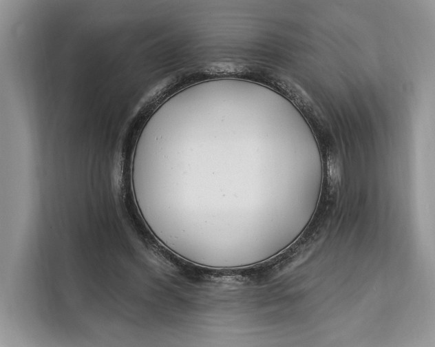 X0000112200396200908281443