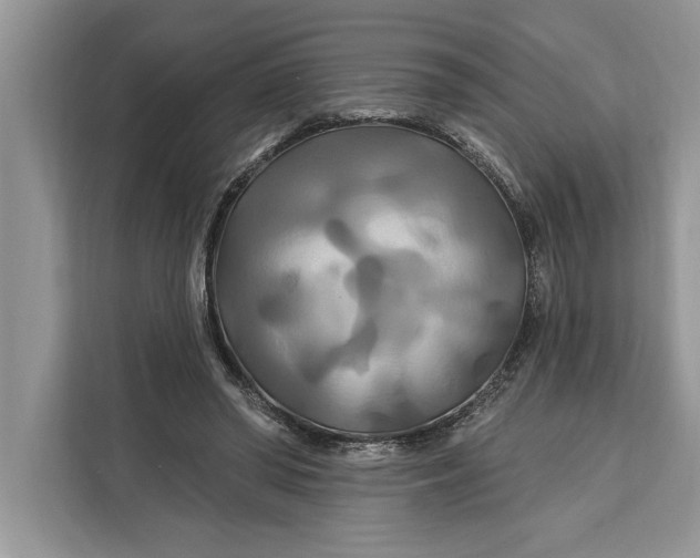 X0000112200398200908281443