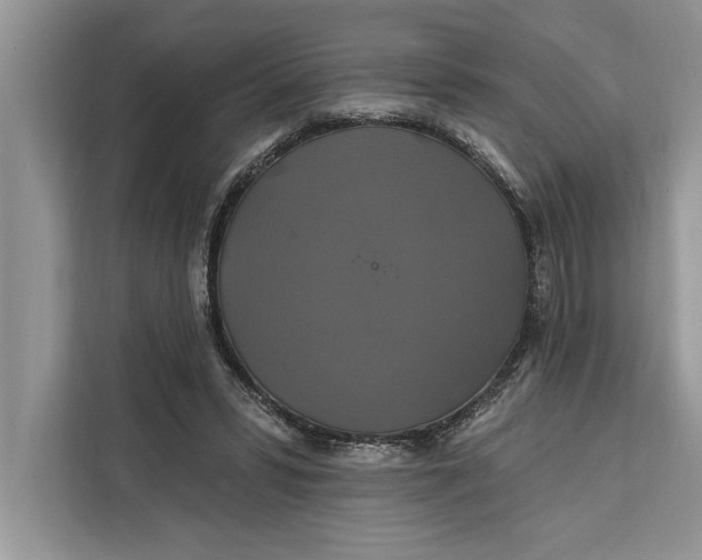 X0000112200399200908281443