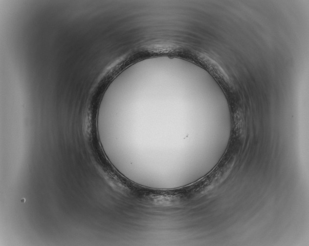 X0000112200400200908281443