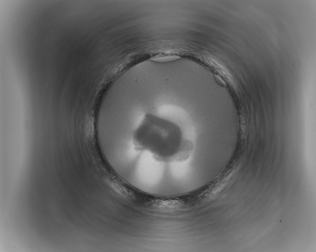 X0000112200401200908281443