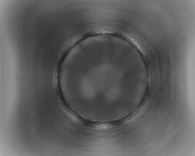 X0000112200402200908281443