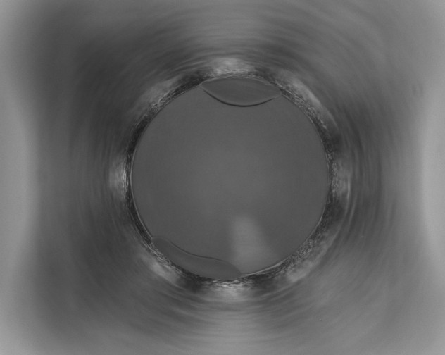 X0000112200405200908281443